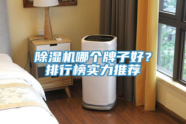 亚洲欧美一级特黄大片 除湿机哪个牌子好？排行榜实力推荐