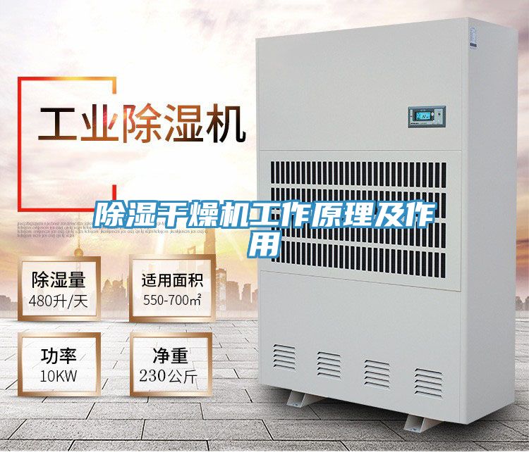 亚洲欧美一级特黄大片 除湿干燥机工作原理及作用
