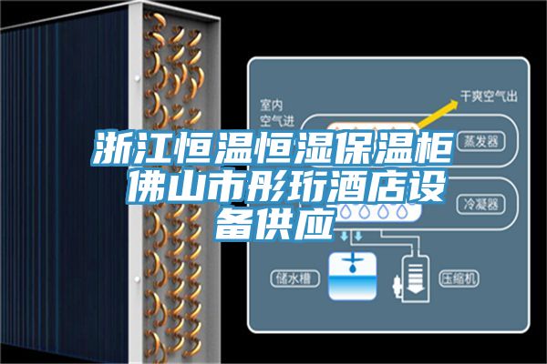 亚洲乱码一区二区三区 浙江恒温恒湿保温柜 佛山市彤珩酒店设备供应