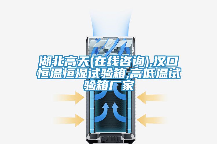 亚洲乱码一区二区三区 湖北高天(在线咨询),汉口恒温恒湿试验箱,高低温试验箱厂家