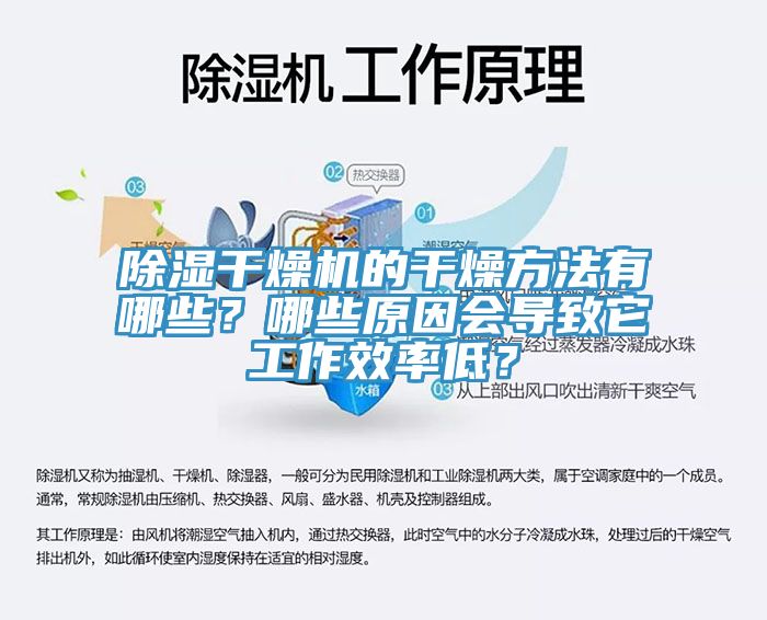 亚洲欧美一级特黄大片 除湿干燥机的干燥方法有哪些？哪些原因会导致它工作效率低？