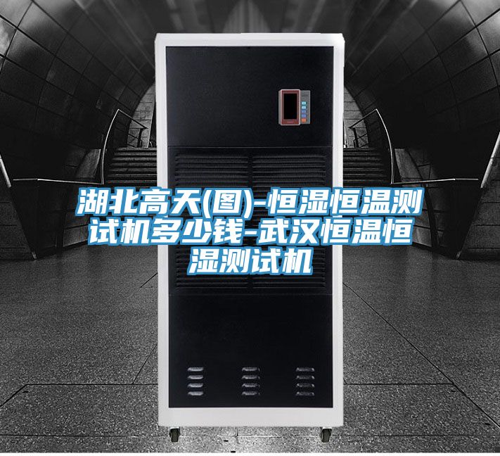 亚洲欧美一级特黄大片 湖北高天(图)-恒湿恒温测试机多少钱-武汉恒温恒湿测试机