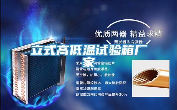 亚洲欧美一级特黄大片 立式高低温试验箱厂家