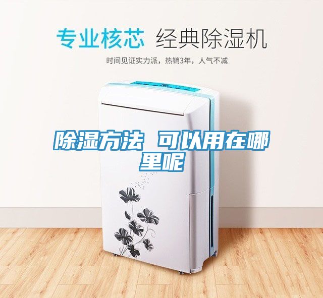 亚洲欧美一级特黄大片 除湿方法 可以用在哪里呢
