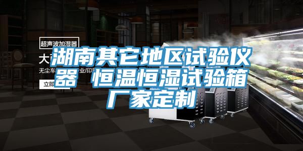 亚洲人成综合第一网站 湖南其它地区试验仪器 恒温恒湿试验箱厂家定制