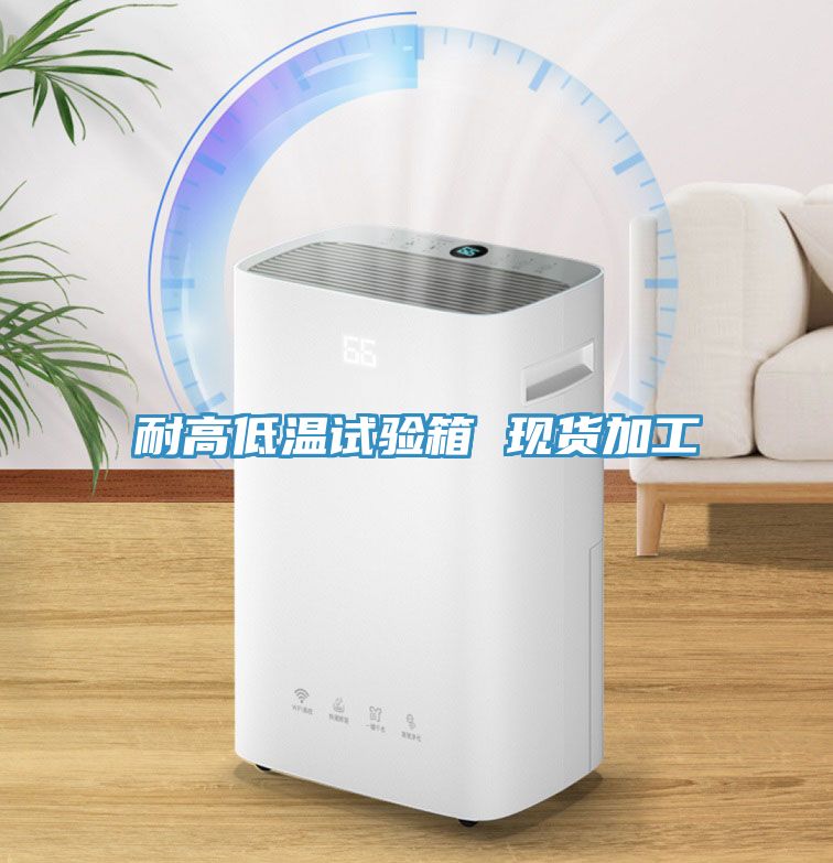 亚洲人成综合第一网站 耐高低温试验箱 现货加工