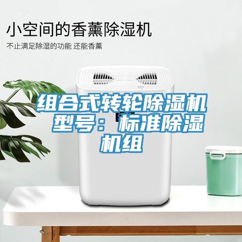 亚洲欧美一级特黄大片 组合式转轮除湿机 型号：标准除湿机组