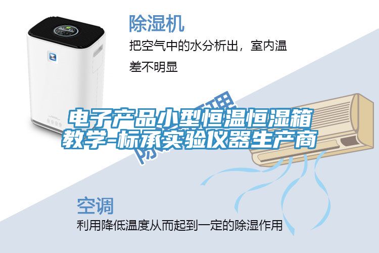 亚洲人成综合第一网站 电子产品小型恒温恒湿箱教学-标承实验仪器生产商