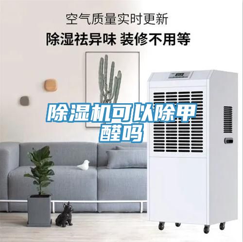 亚洲乱码一区二区三区 除湿机可以除甲醛吗