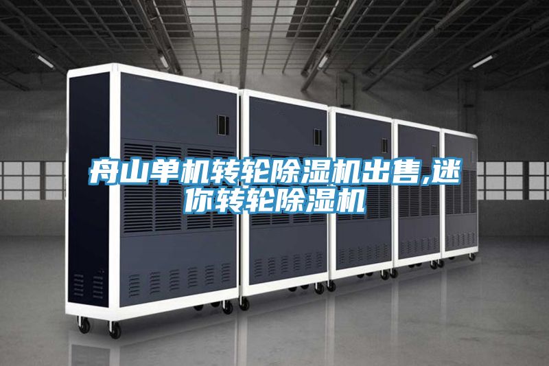亚洲人成综合第一网站 舟山单机转轮除湿机出售,迷你转轮除湿机