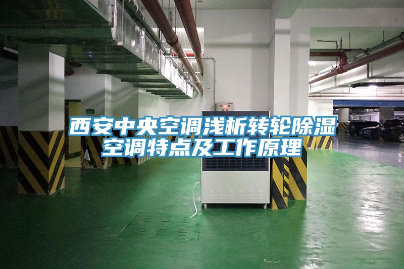 亚洲欧美一级特黄大片 西安中央空调浅析转轮除湿空调特点及工作原理