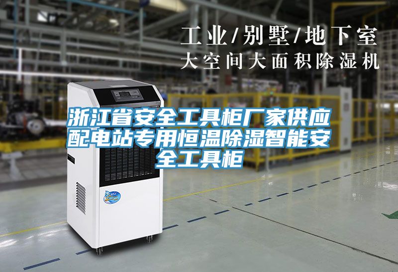 亚洲人成综合第一网站 浙江省安全工具柜厂家供应配电站专用恒温除湿智能安全工具柜