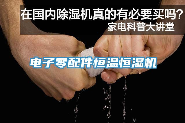 亚洲人成综合第一网站 电子零配件恒温恒湿机