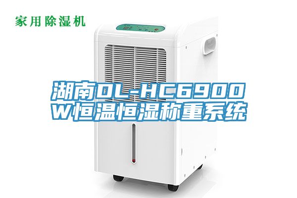 亚洲欧美一级特黄大片 湖南DL-HC6900W恒温恒湿称重系统