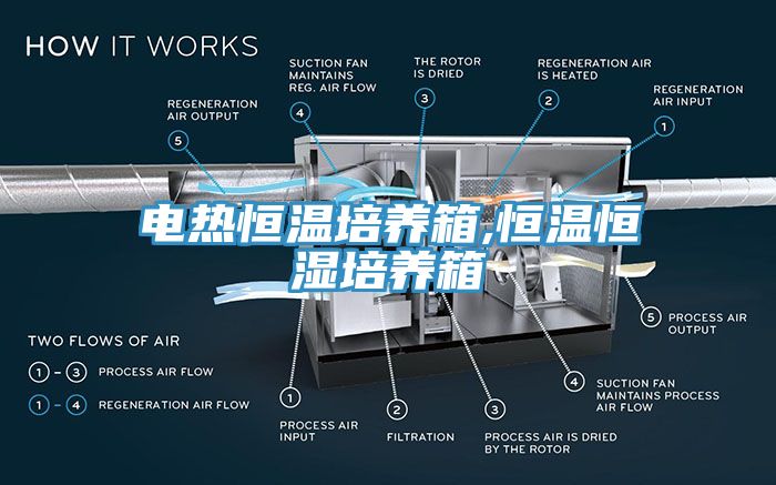 亚洲欧美一级特黄大片 电热恒温培养箱,恒温恒湿培养箱