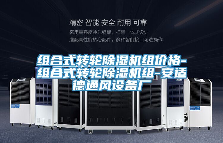 亚洲人成综合第一网站 组合式转轮除湿机组价格-组合式转轮除湿机组-安适德通风设备厂