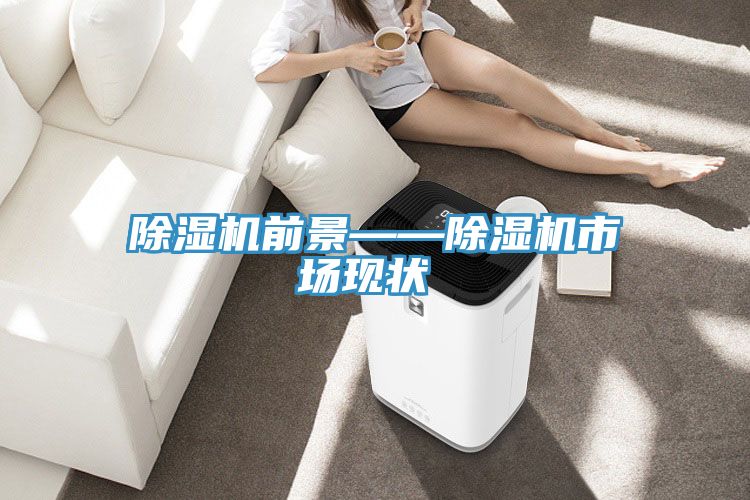 亚洲欧美一级特黄大片 除湿机前景——除湿机市场现状‍‍