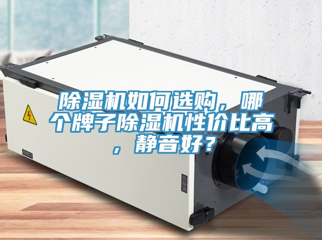 亚洲乱码一区二区三区 除湿机如何选购，哪个牌子除湿机性价比高，静音好？