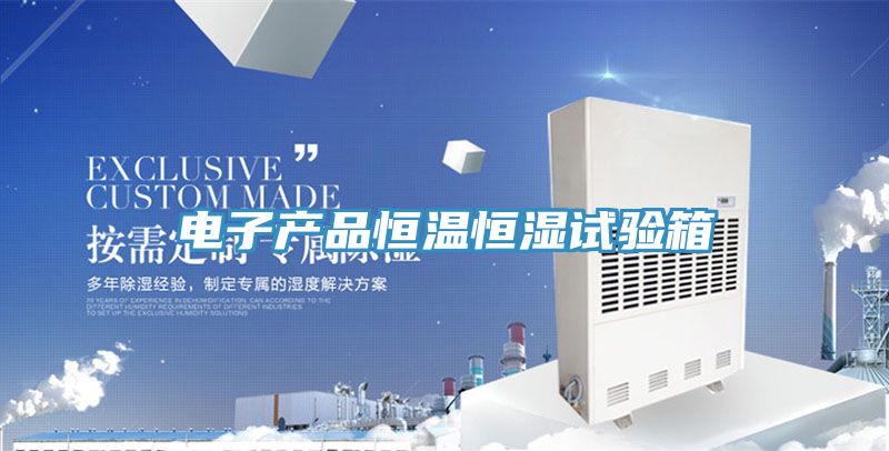 亚洲人成综合第一网站 电子产品恒温恒湿试验箱