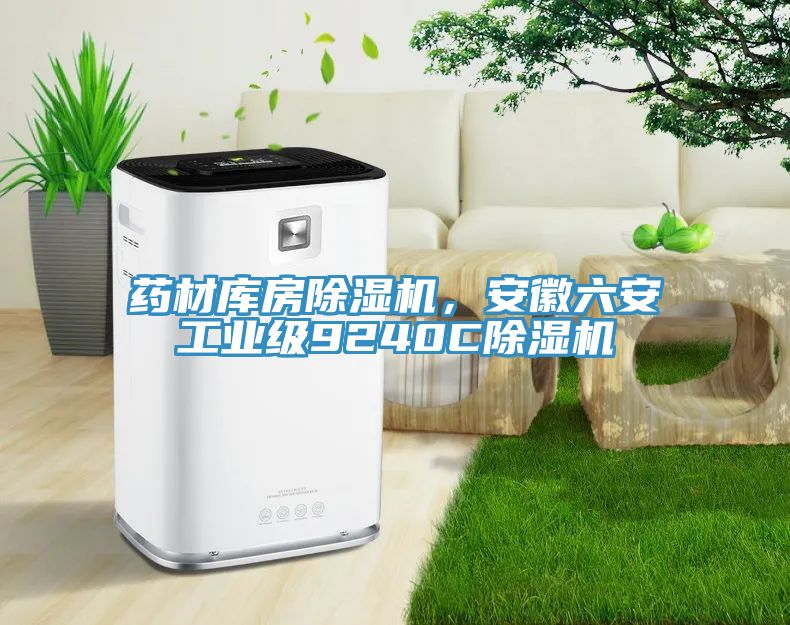 亚洲欧美一级特黄大片 药材库房除湿机，安徽六安工业级9240C除湿机