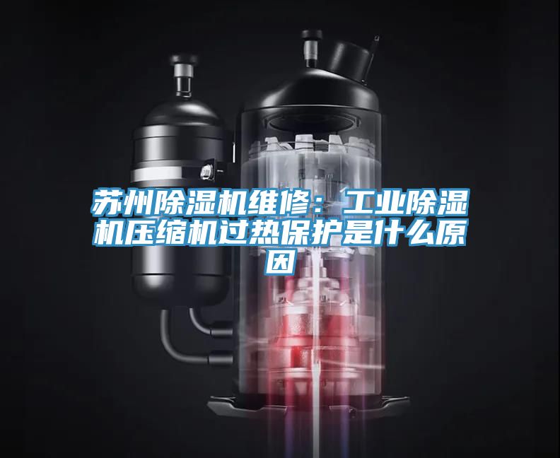 亚洲欧美一级特黄大片 苏州除湿机维修：工业除湿机压缩机过热保护是什么原因
