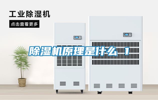 亚洲欧美一级特黄大片 除湿机原理是什么 1