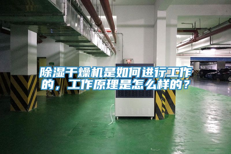 亚洲人成综合第一网站 除湿干燥机是如何进行工作的，工作原理是怎么样的？