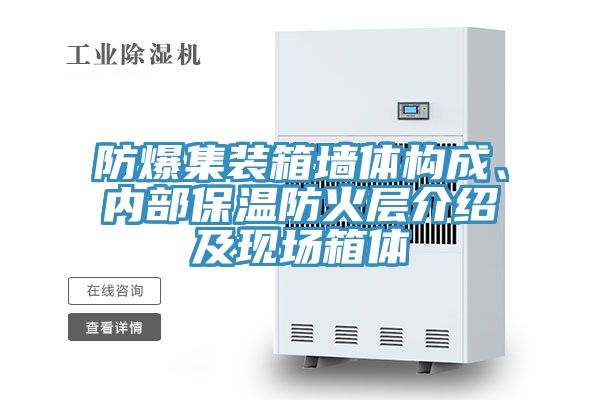 亚洲欧美一级特黄大片 防爆集装箱墙体构成、内部保温防火层介绍及现场箱体