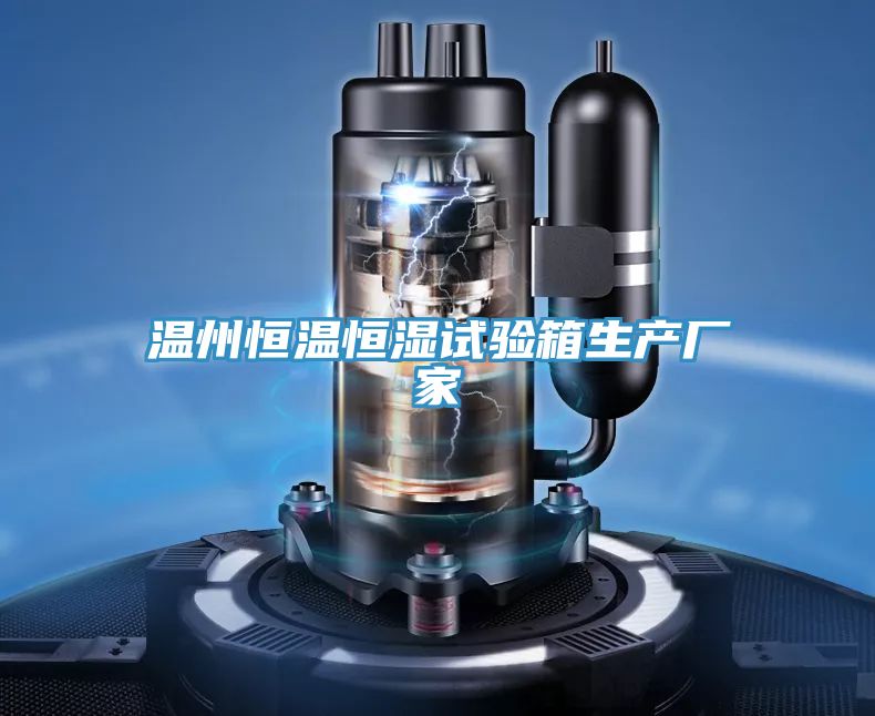 亚洲人成综合第一网站 温州恒温恒湿试验箱生产厂家