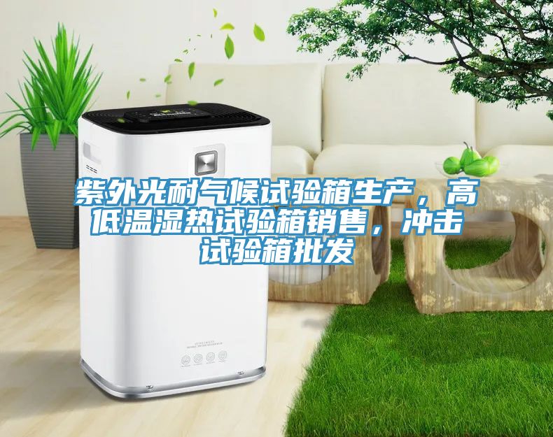 亚洲人成综合第一网站 紫外光耐气候试验箱生产，高低温湿热试验箱销售，冲击试验箱批发