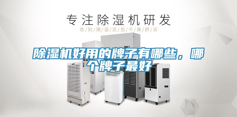 亚洲欧美一级特黄大片 除湿机好用的牌子有哪些，哪个牌子最好