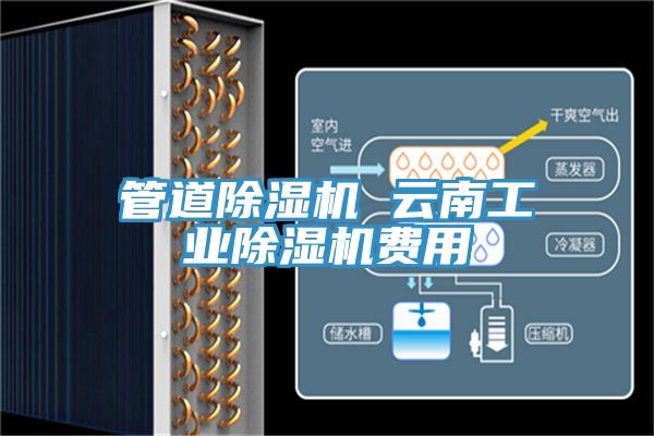 亚洲欧美一级特黄大片 管道除湿机 云南工业除湿机费用
