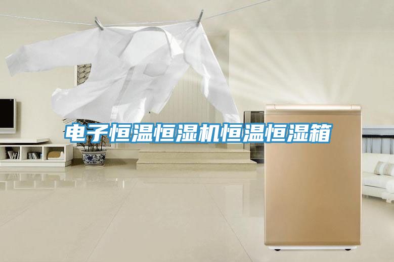 亚洲乱码一区二区三区 电子恒温恒湿机恒温恒湿箱