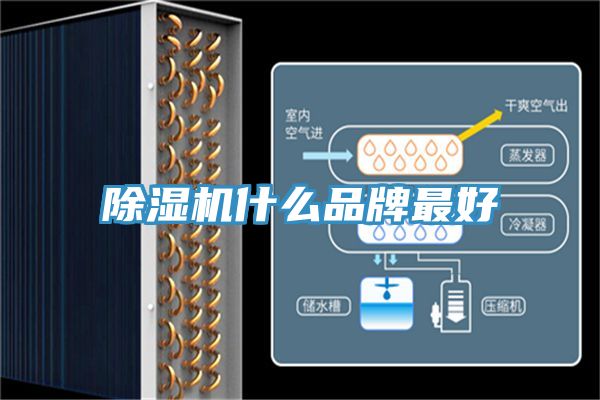 亚洲乱码一区二区三区 除湿机什么品牌最好