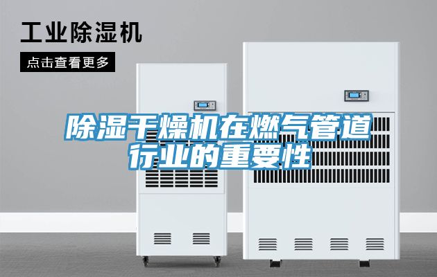 亚洲欧美一级特黄大片 除湿干燥机在燃气管道行业的重要性