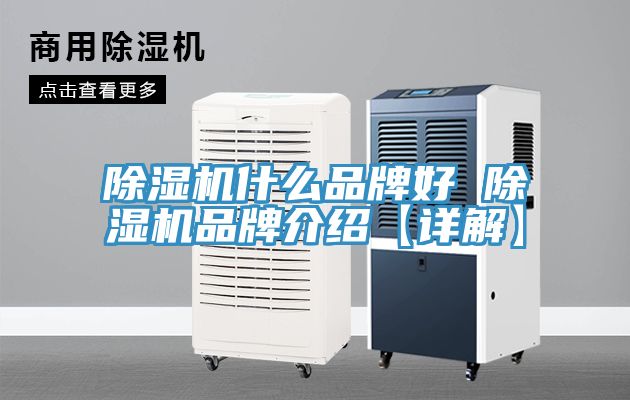 亚洲乱码一区二区三区 除湿机什么品牌好 除湿机品牌介绍【详解】