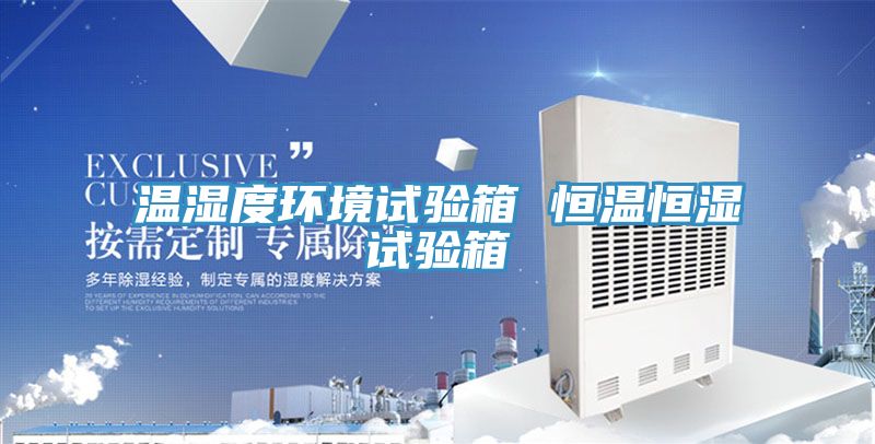 亚洲欧美一级特黄大片 温湿度环境试验箱 恒温恒湿试验箱
