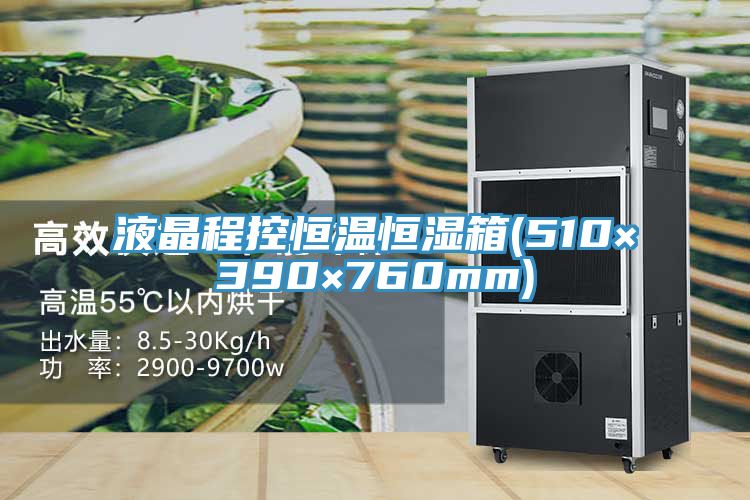 亚洲人成综合第一网站 液晶程控恒温恒湿箱(510×390×760mm)