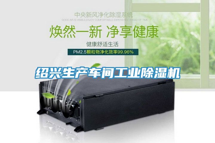 亚洲欧美一级特黄大片 绍兴生产车间工业除湿机