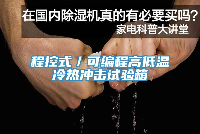 亚洲人成综合第一网站 程控式／可编程高低温冷热冲击试验箱