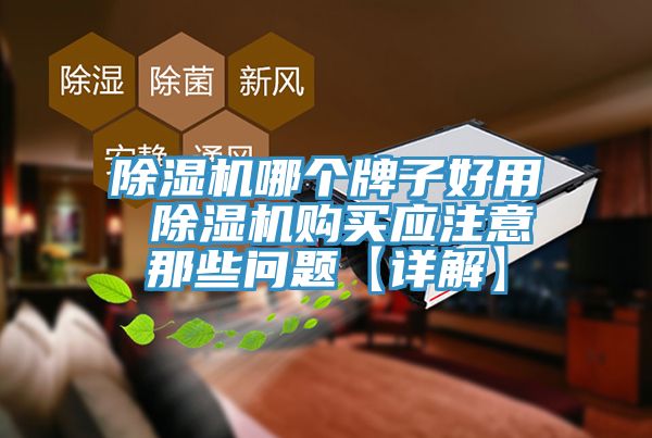 亚洲欧美一级特黄大片 除湿机哪个牌子好用 除湿机购买应注意那些问题【详解】
