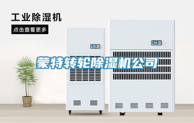 亚洲欧美一级特黄大片 蒙特转轮除湿机公司