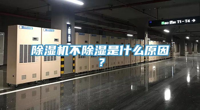 亚洲人成综合第一网站 除湿机不除湿是什么原因？