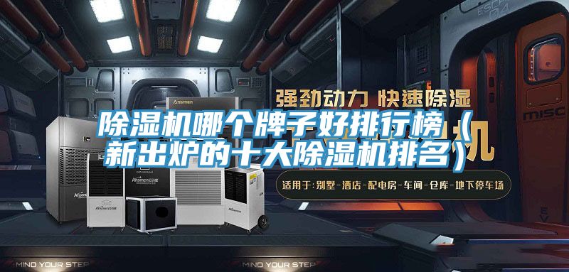 亚洲人成综合第一网站 除湿机哪个牌子好排行榜（新出炉的十大除湿机排名）