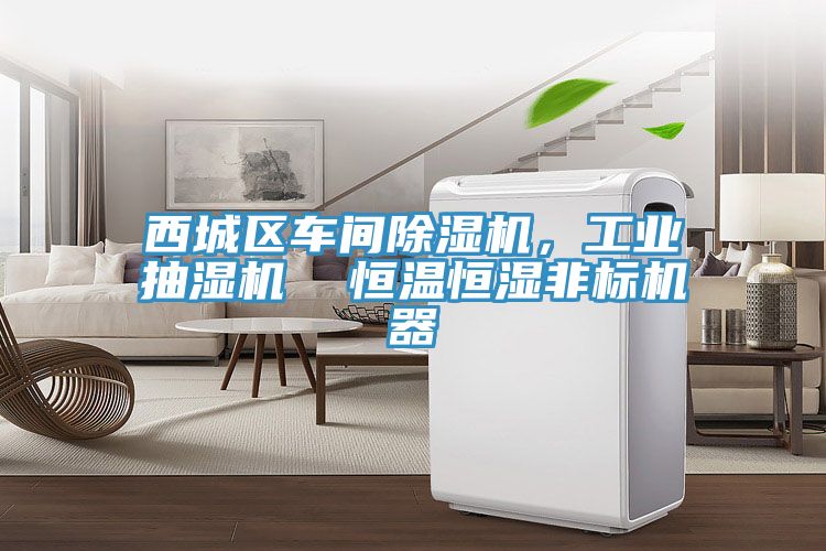 亚洲人成综合第一网站 西城区车间除湿机，工业抽湿机  恒温恒湿非标机器
