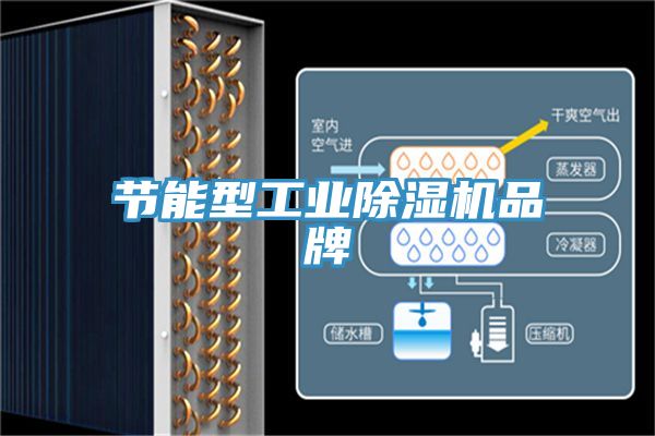 亚洲乱码一区二区三区 节能型工业除湿机品牌