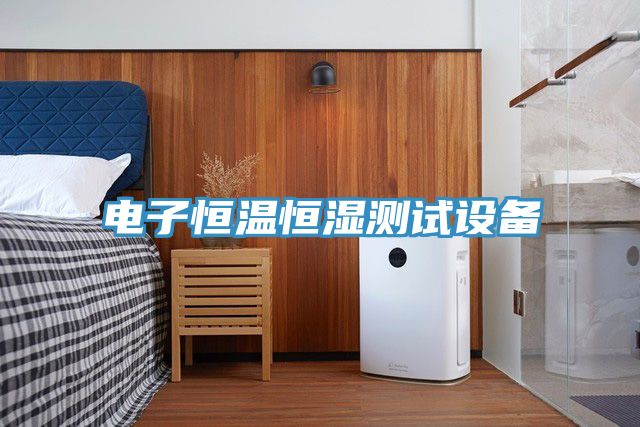亚洲人成综合第一网站 电子恒温恒湿测试设备