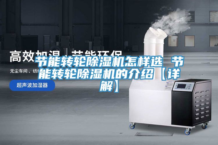亚洲人成综合第一网站 节能转轮除湿机怎样选 节能转轮除湿机的介绍【详解】