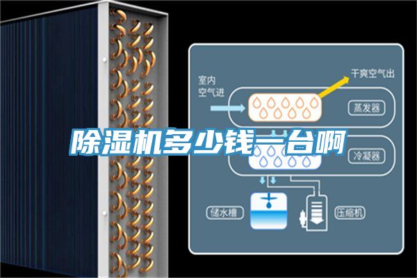 亚洲欧美一级特黄大片 除湿机多少钱一台啊