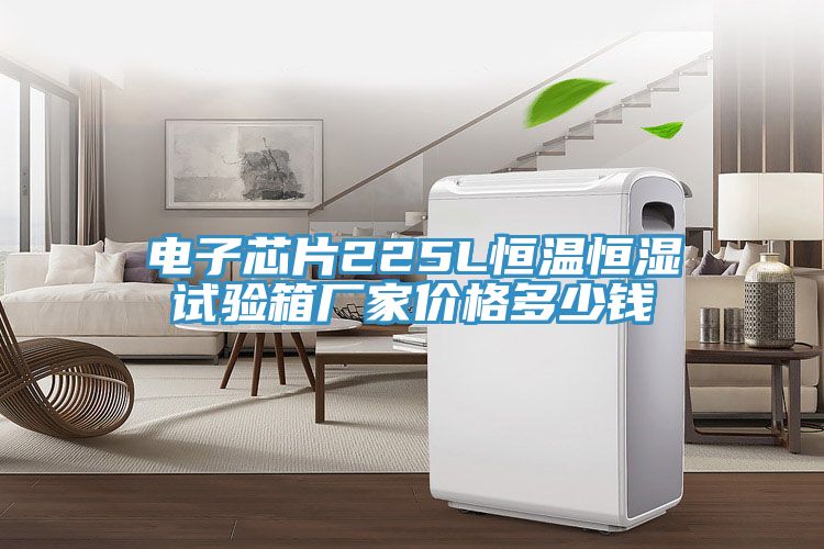 亚洲欧美一级特黄大片 电子芯片225L恒温恒湿试验箱厂家价格多少钱